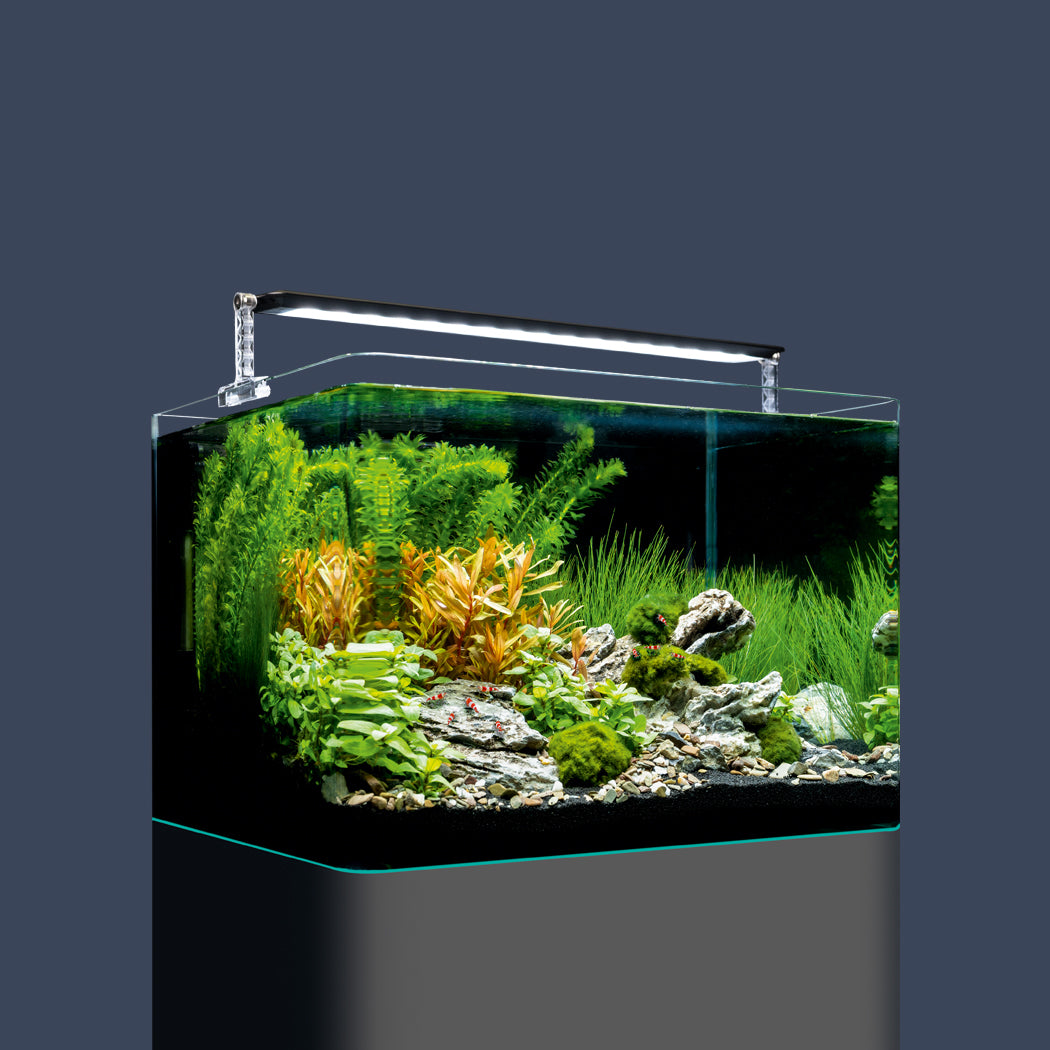 NS Aquarium Tanks