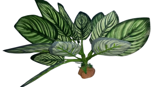 Nomoy - Artificial Reptile Plants