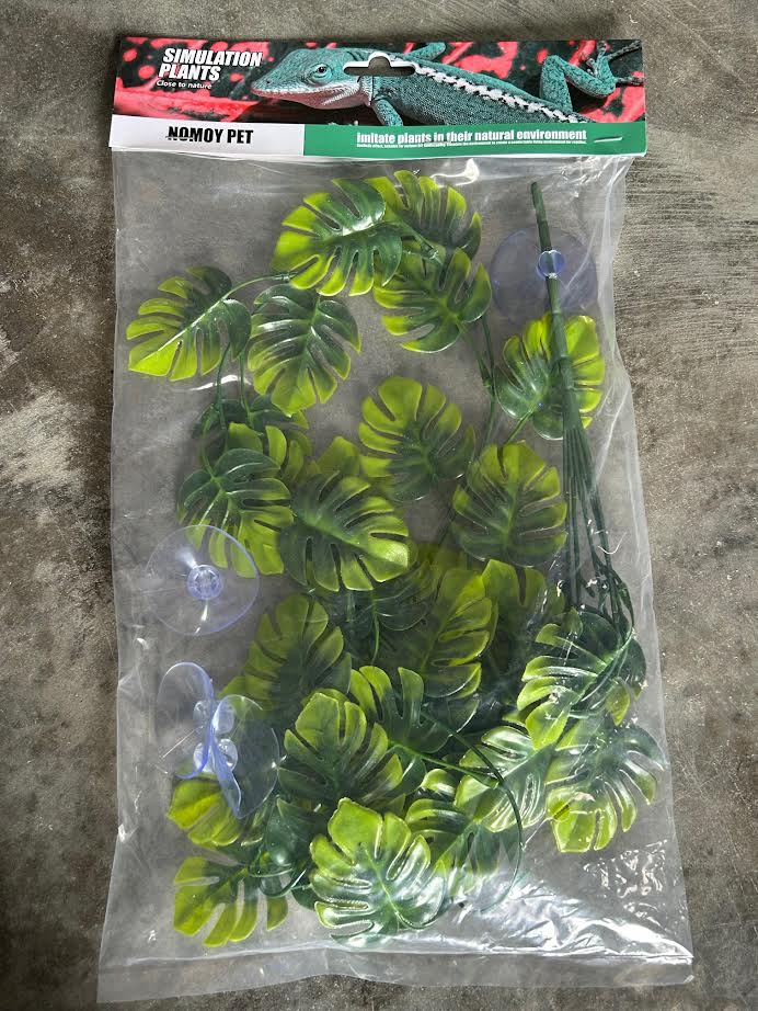 Nomoy Reptile Plants