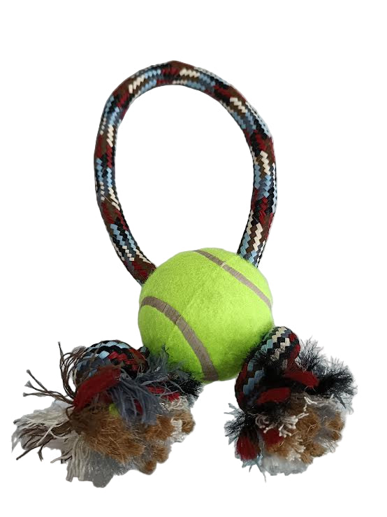 Loop & Ball Toy