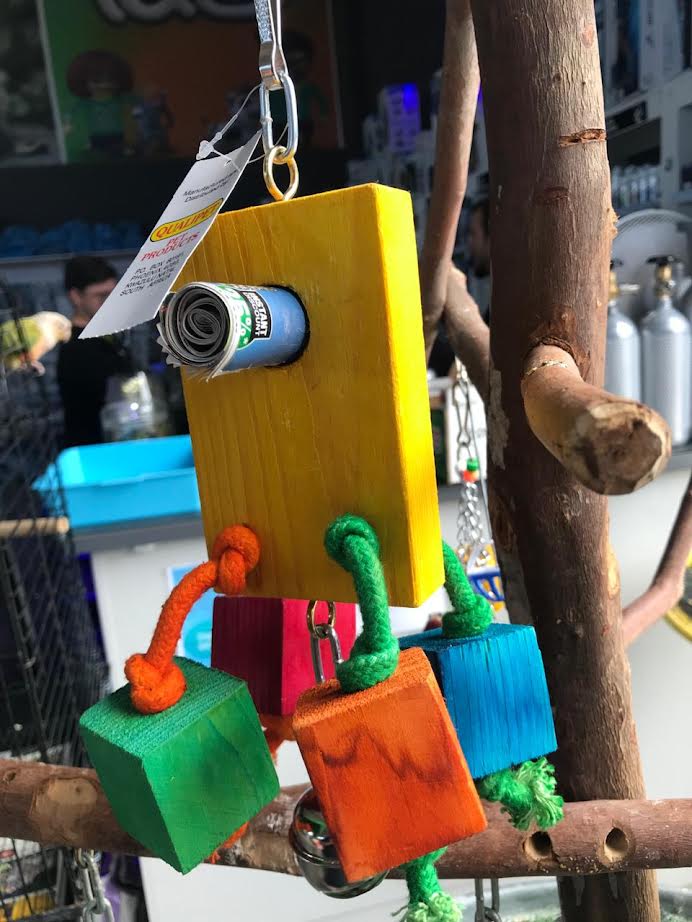 Magazine Bird Toy With Bell