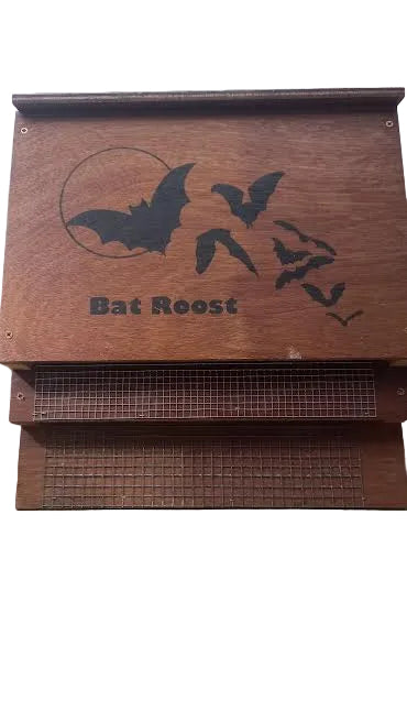 Elaines Birding Bat Roost