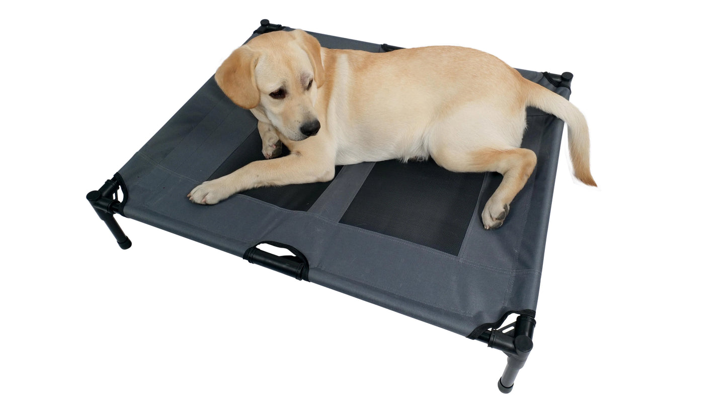 Mpets Elevated Dog Bed