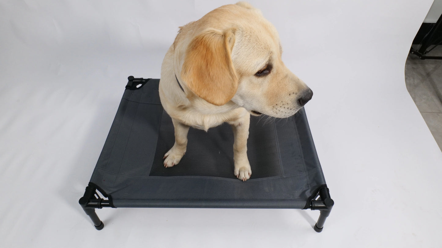 Mpets Elevated Dog Bed