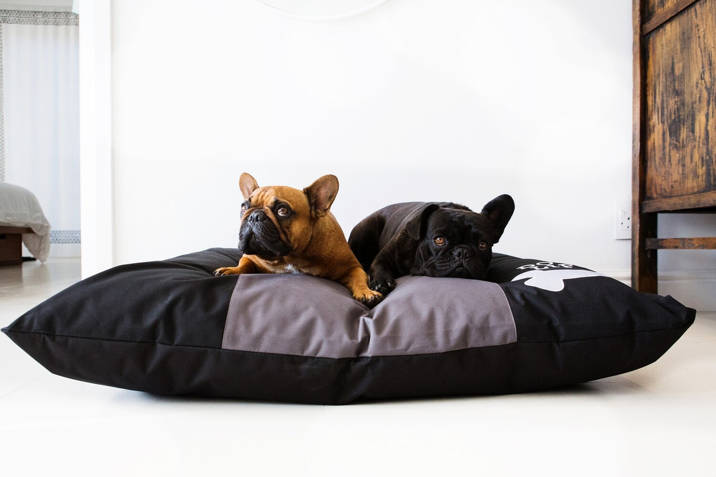 Dog's Life Squarebone Cushion Bed - Black