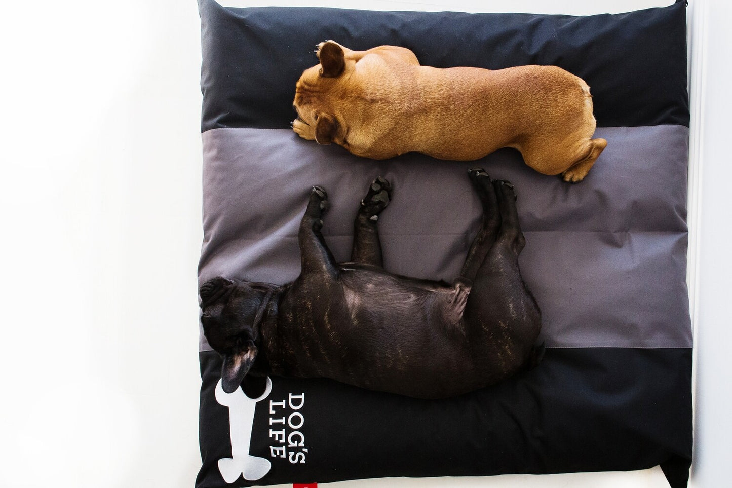 Dog's Life Squarebone Cushion Bed - Black