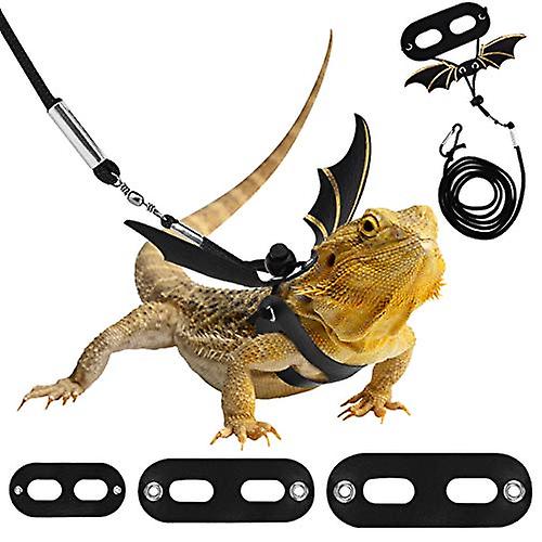 Nomoy Lizard Harness & Leash