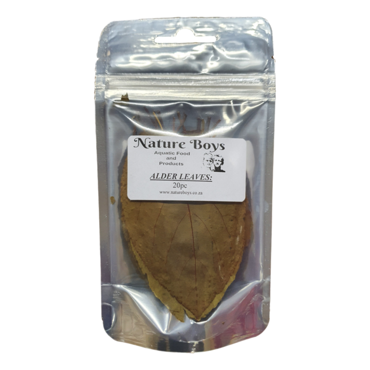 Nature Boys - Alder Leaves 16pc