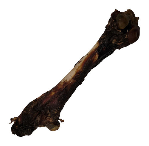 Craving Nature Femur Bone Small Singles