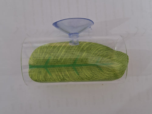 Betta Beds