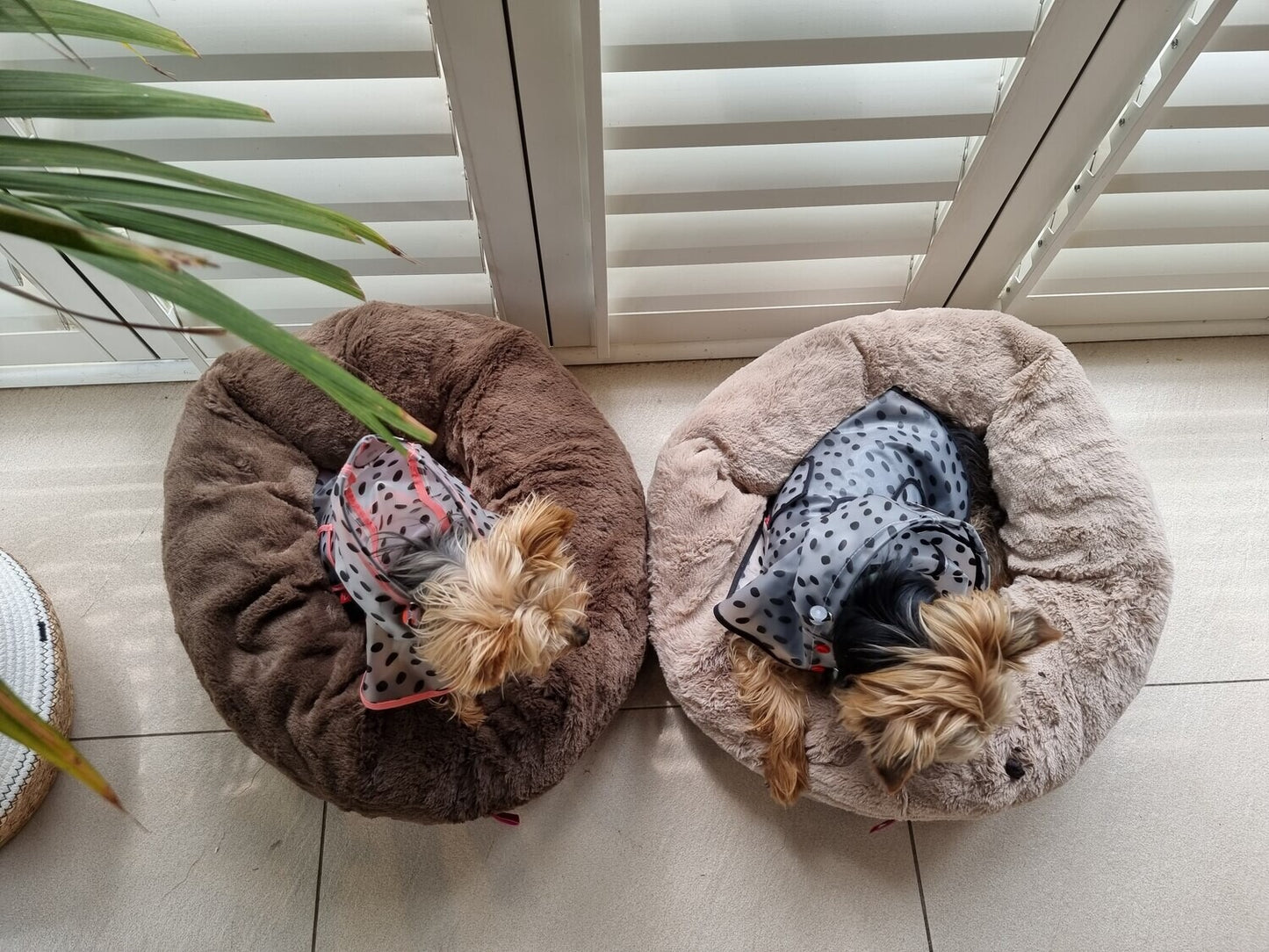 Dogs Life Calming Cuddler Brown