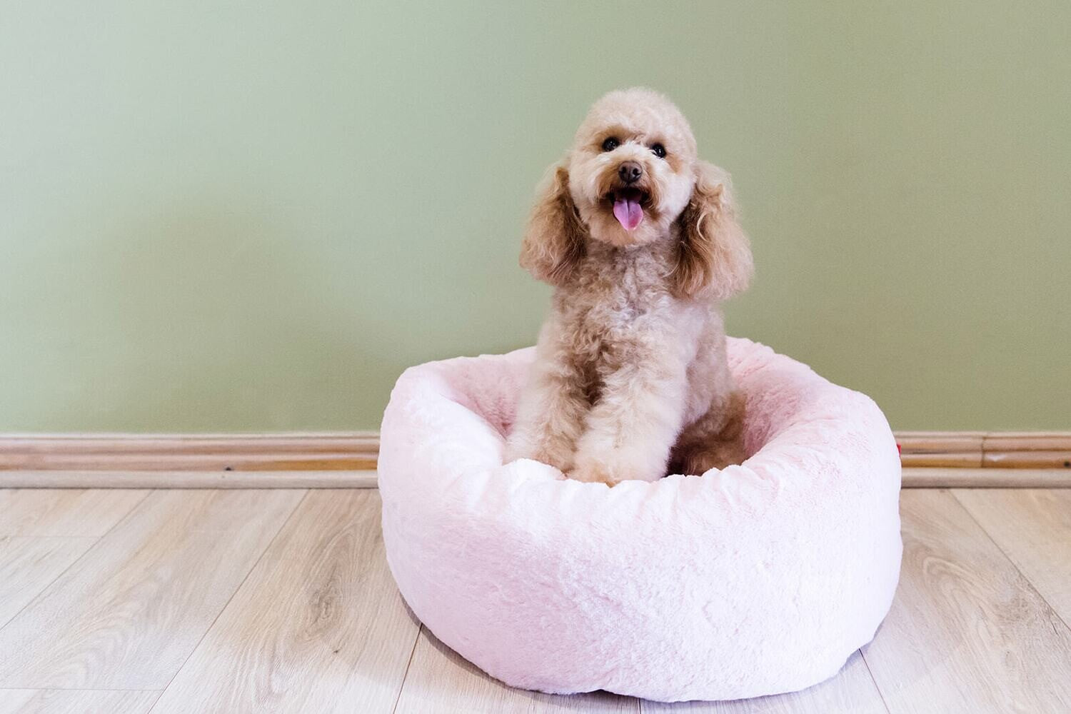 Dog's Life Calming Cuddler - Pink