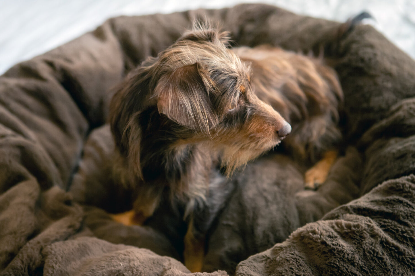 Dogs Life Calming Cuddler Brown