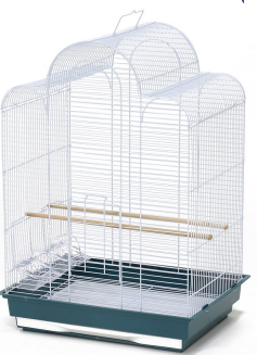 The Candy Floss Cage 2905-OP