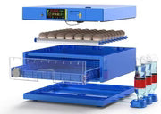 Blue Diamond Range 300 Egg Automatic Dual Voltage Egg Incubator