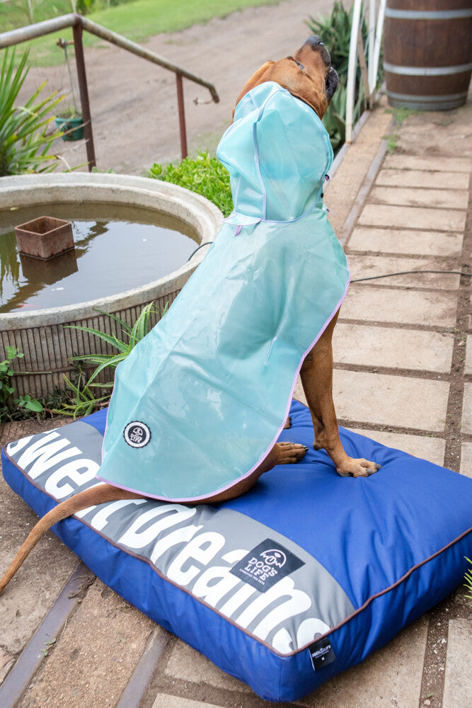 Dog's Life Sweet Dreams Cushion - Blue