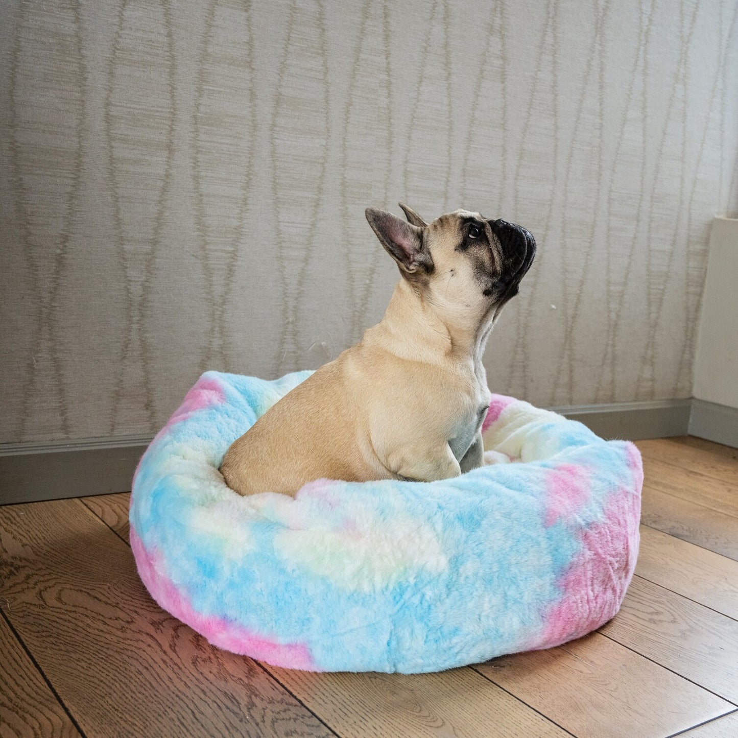 Dog's Life Calming Cuddler - Rainbow