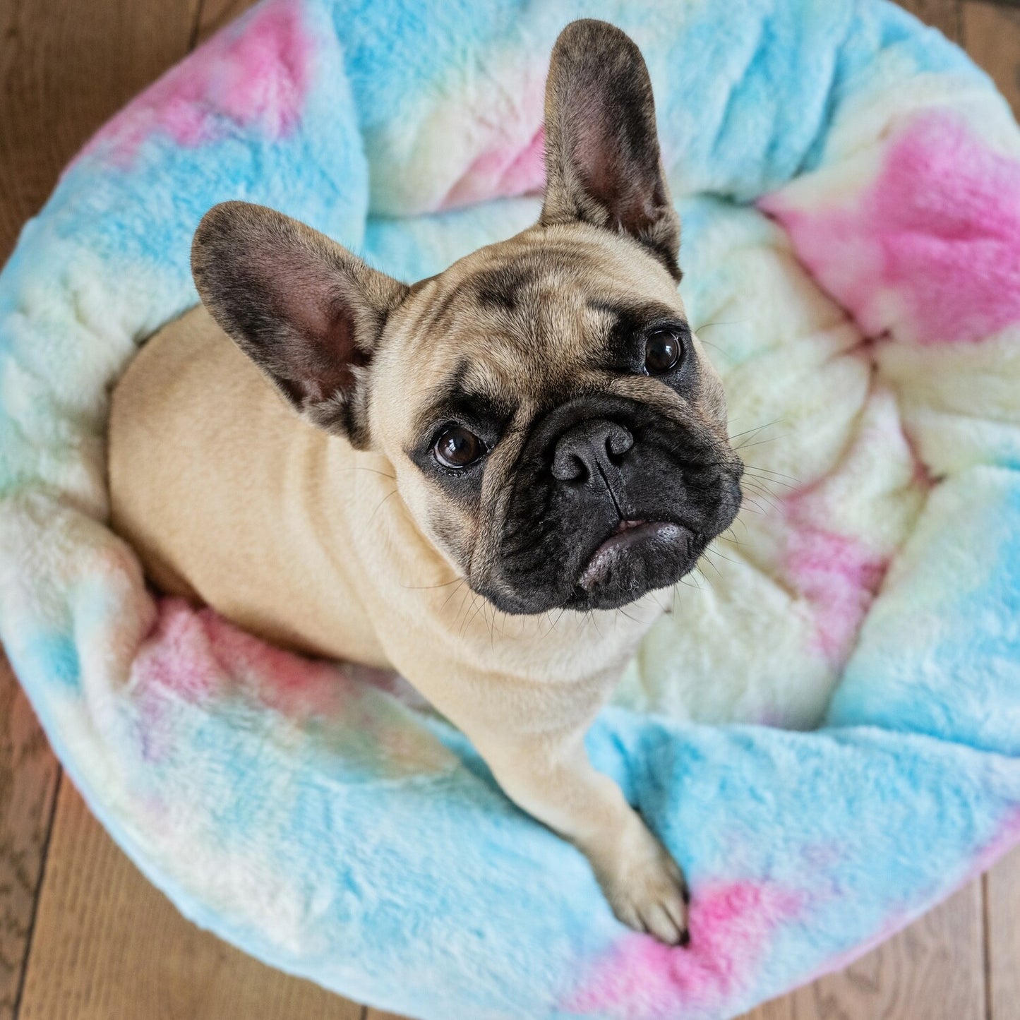 Dog's Life Calming Cuddler - Rainbow