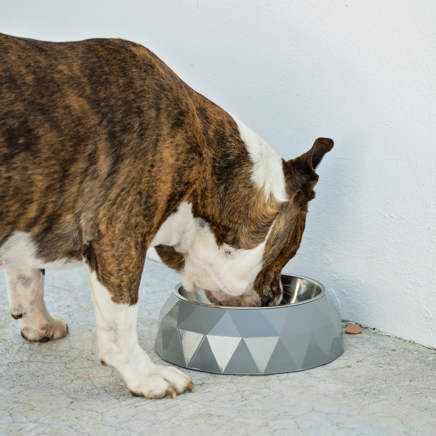Dog's Life Diamond Melamine Stainless Steel Bowls