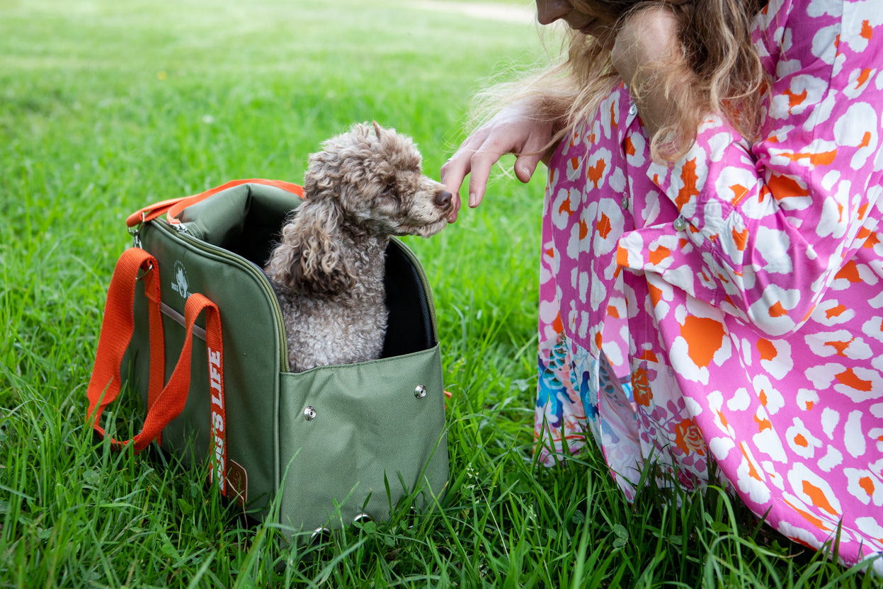 Outdoors Utility Pet Carrier Green