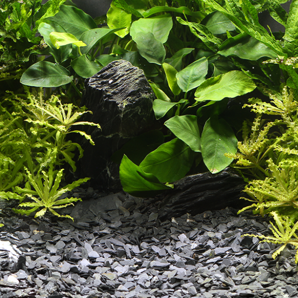 Natural Gravel Kongo, 3-8mm, 500g
