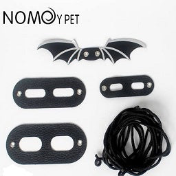 Nomoy Lizard Harness & Leash