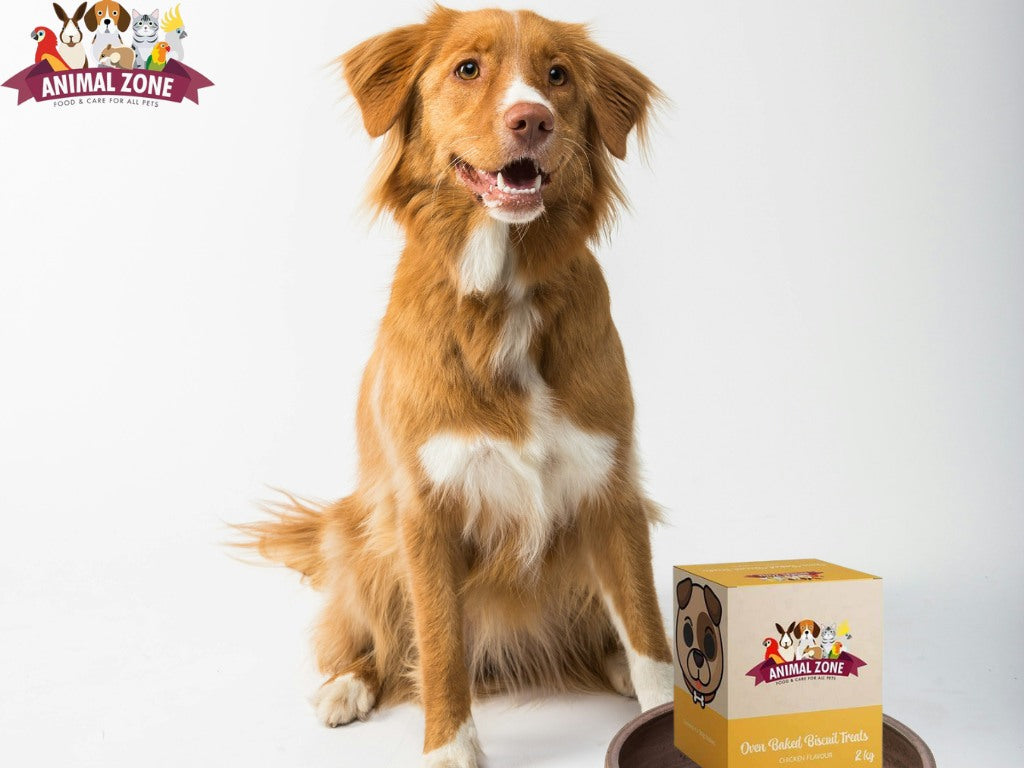 Animal Zone Dog Biscuits Steak -  2kg