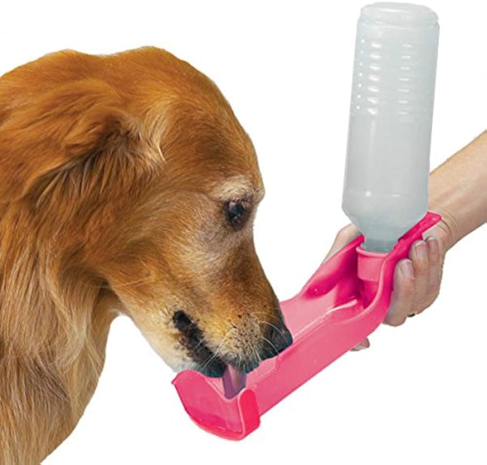 Bottle With Built In bowl