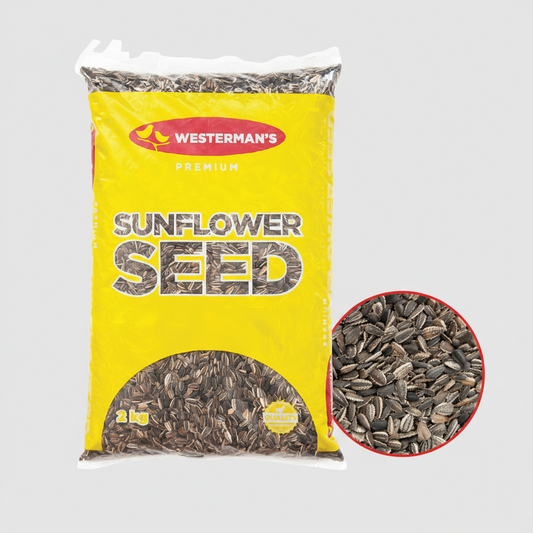 Westerman's Striped Sunflower Seeds