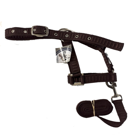 Nylon Halter & Lead