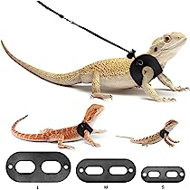 Nomoy Lizard Harness & Leash