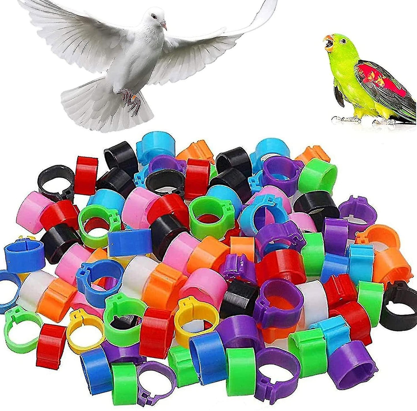 Daro Bird ID Rings