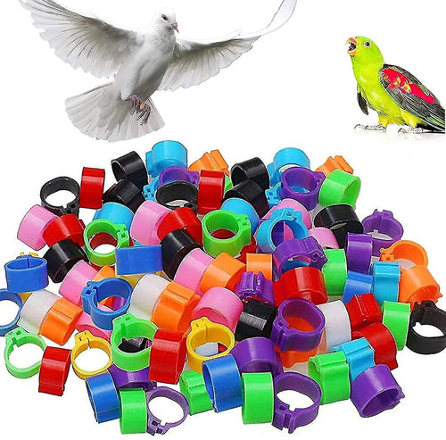 Daro Bird ID Rings