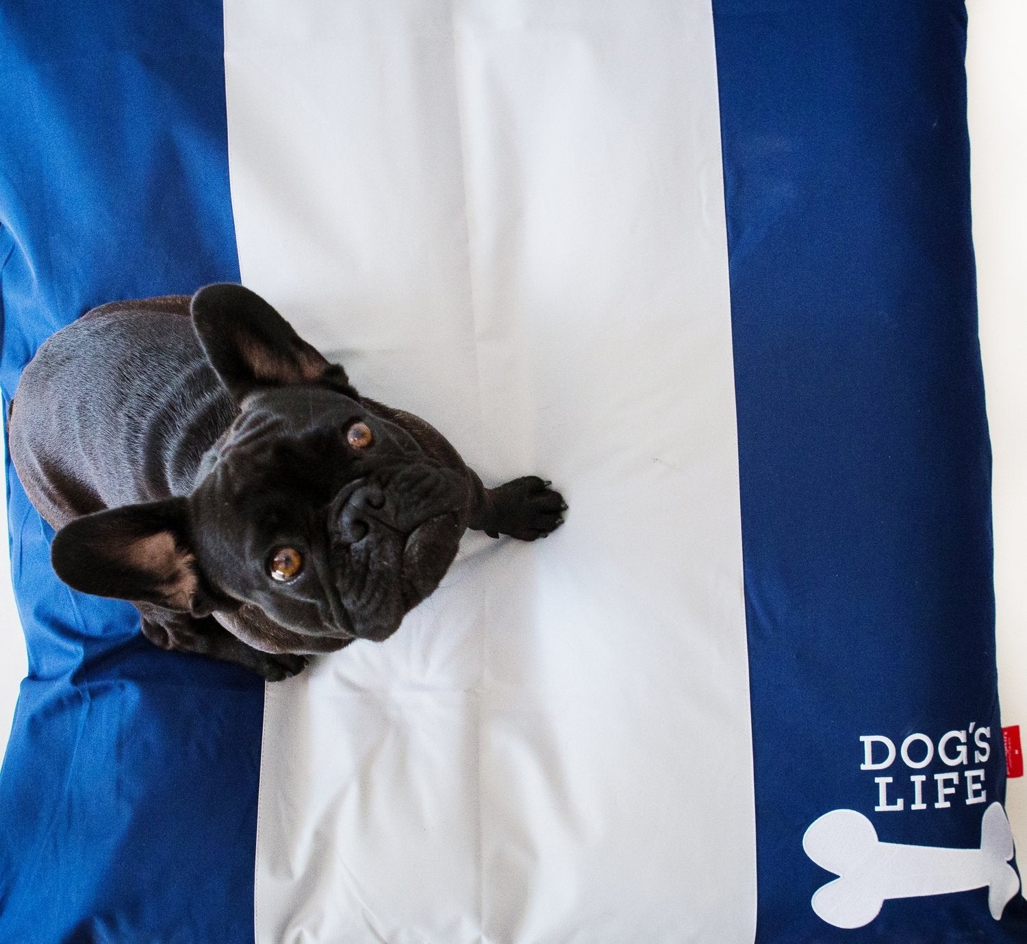 Dog's Life Squarebone Cushion Bed - Blue