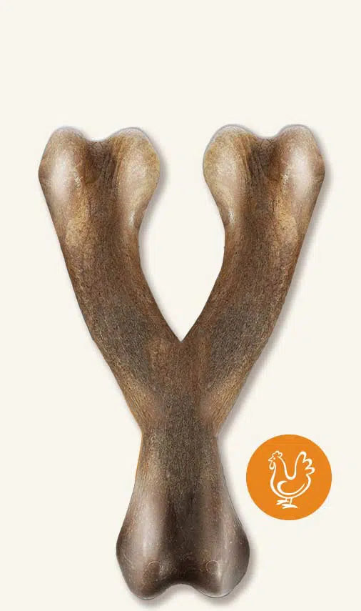 Zues Nosh Strong Wishbone Small