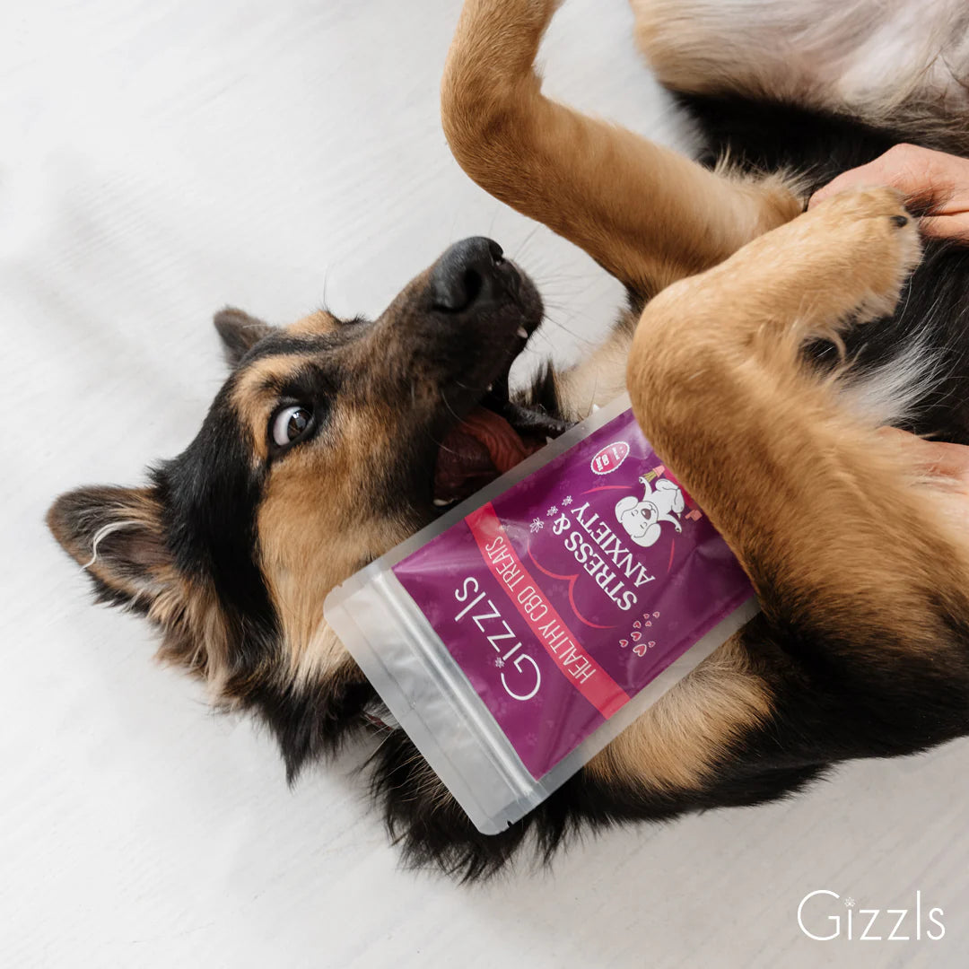 Gizzls Stress & Anxiety CBD  Dog Treats