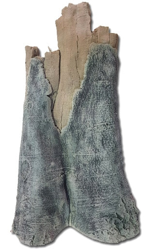 Back to Nature Amazonas Module A