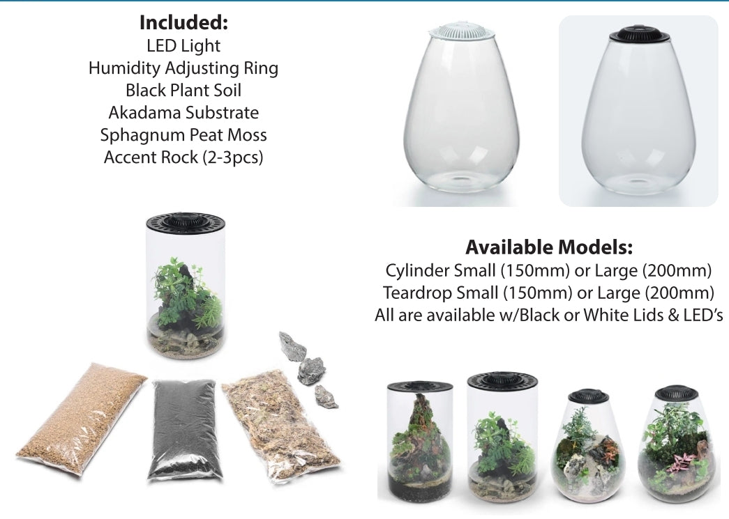 Bio Bowls Terrariums