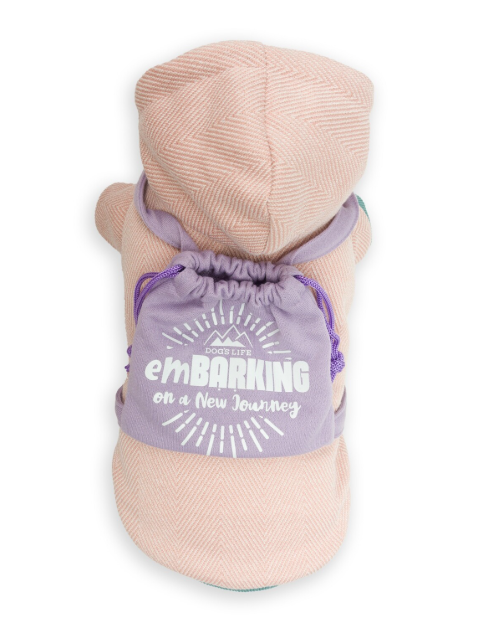 DLWN Embarking Backpack Hoodie