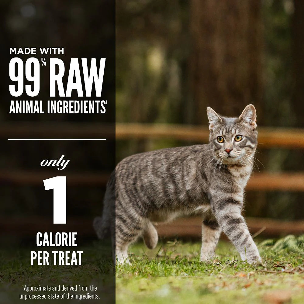 Orijen Freeze Dried Cat Treats - 35g