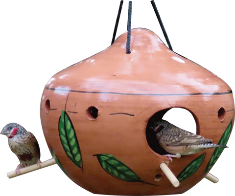 Elaine's Calabash Seed Feeder