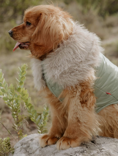 DLWN Winter Gilet Puffer Mint