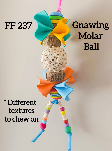 Gnawing Molar Ball Bird Toy