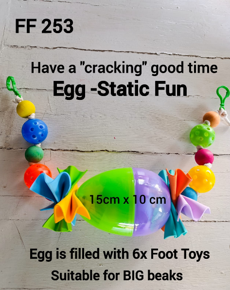 EggStatic Fun Bird Toy