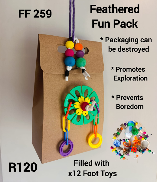 Feathered Fun Pack