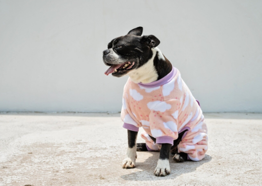 DLWN Cloud With Hearts PJ (Pink)
