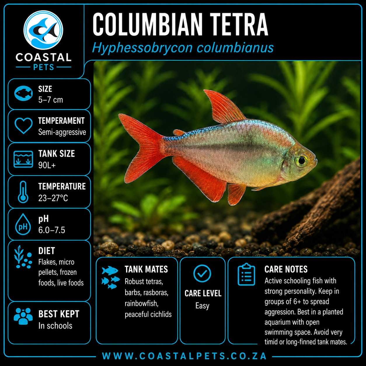 Tetra-Columbian