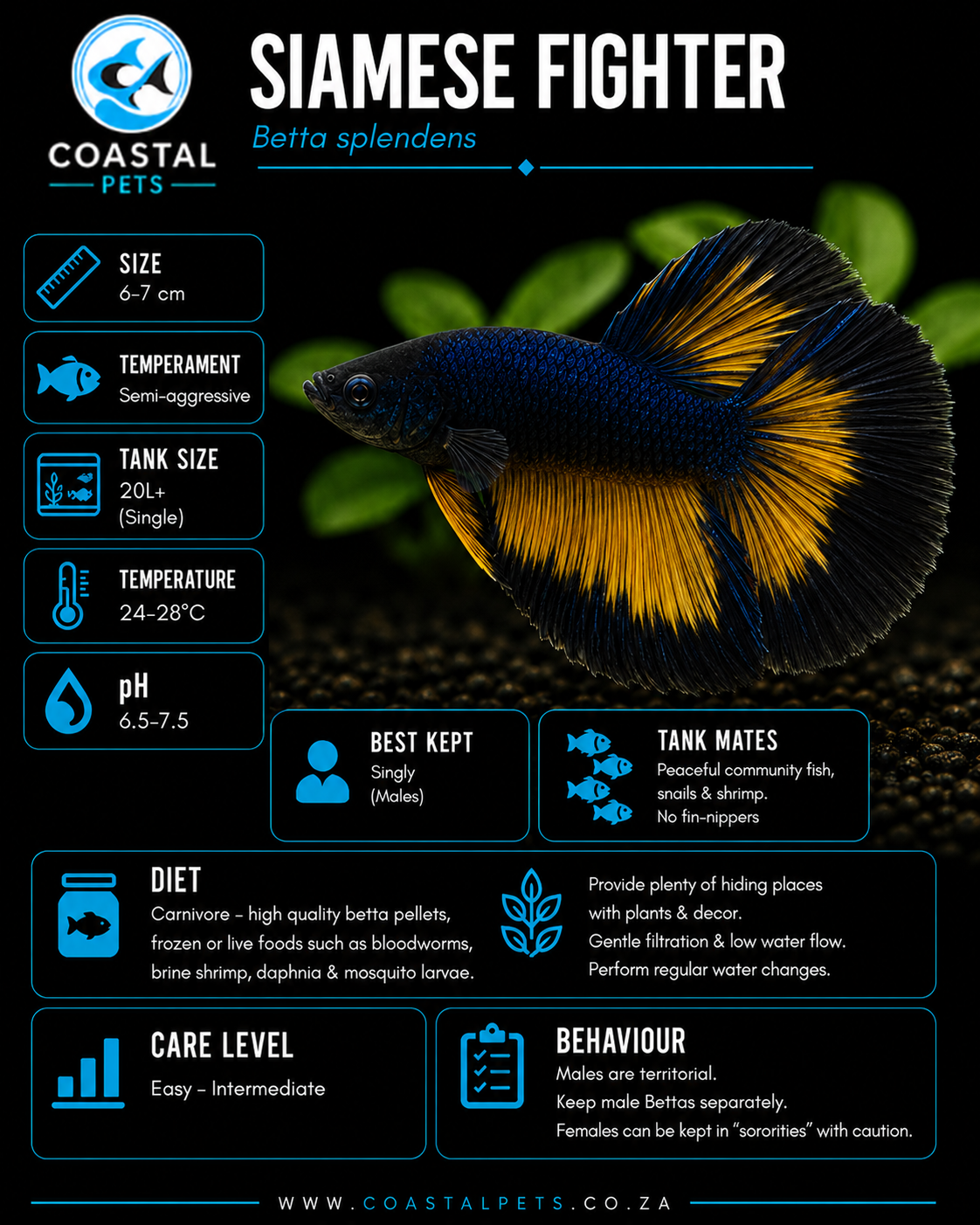 Betta-Super Delta Mustard Gas
