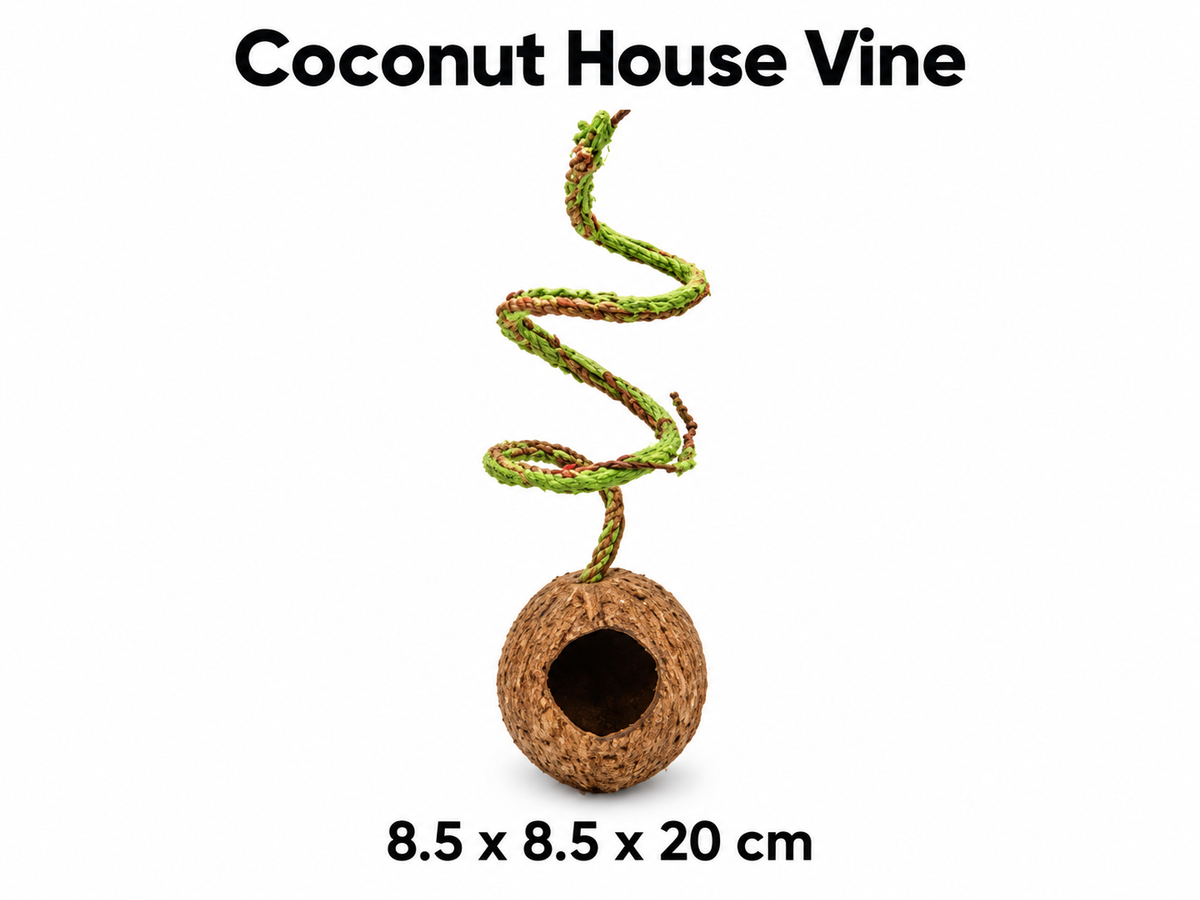 Coconut House Vine