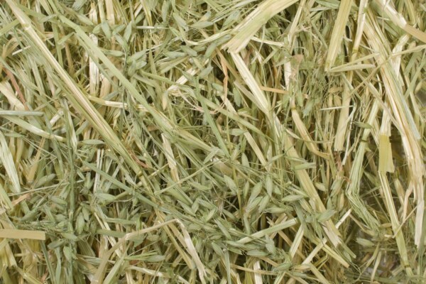 EF - Oat Hay 4Kg